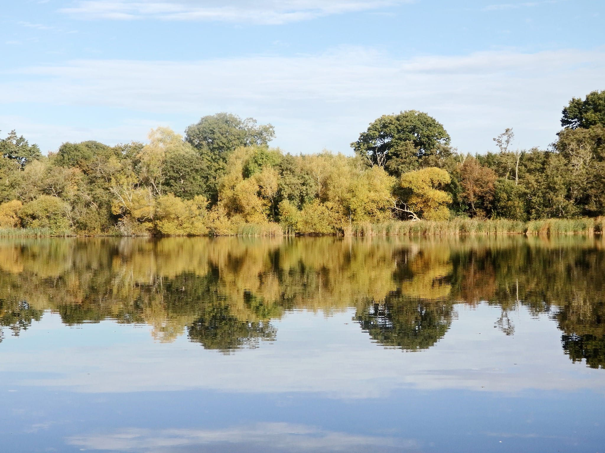 Fairhaven Woodland and Water Garden