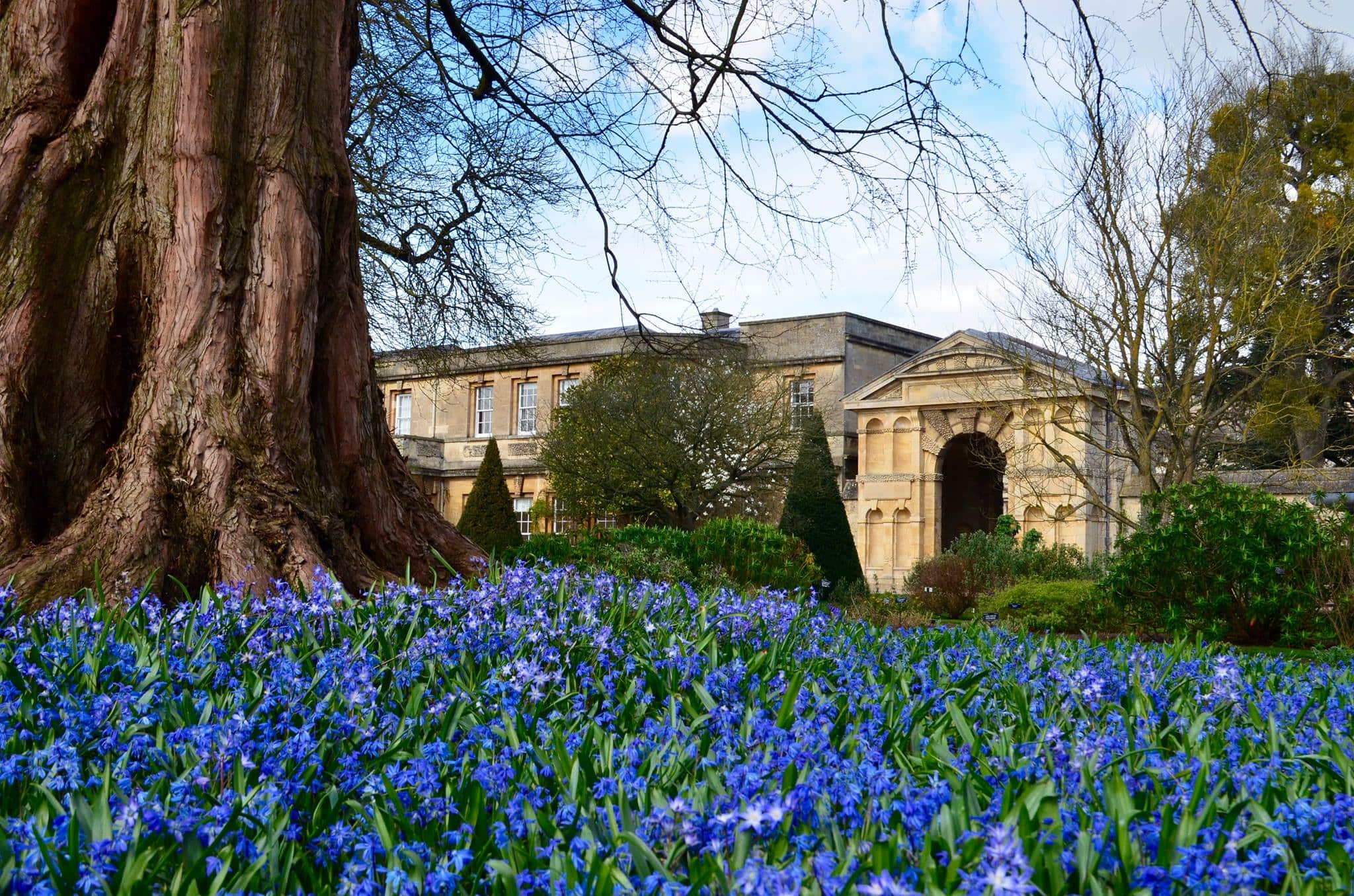 Oxford Botanic Garden