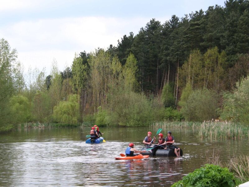 Walesby Forest