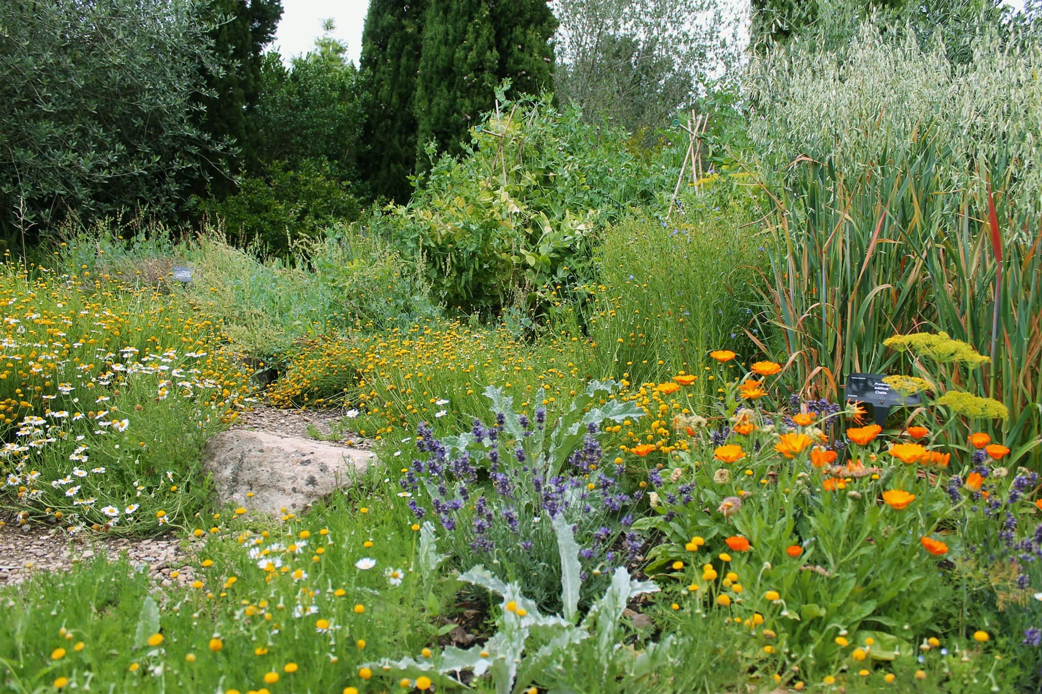 University of Bristol Botanic Garden