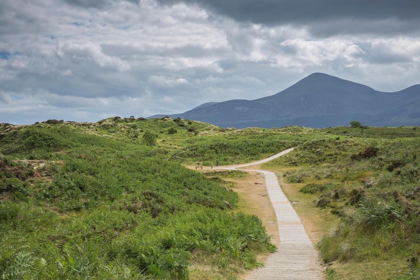 Murlough National Nature Reserve