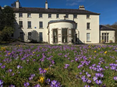 Lissan House