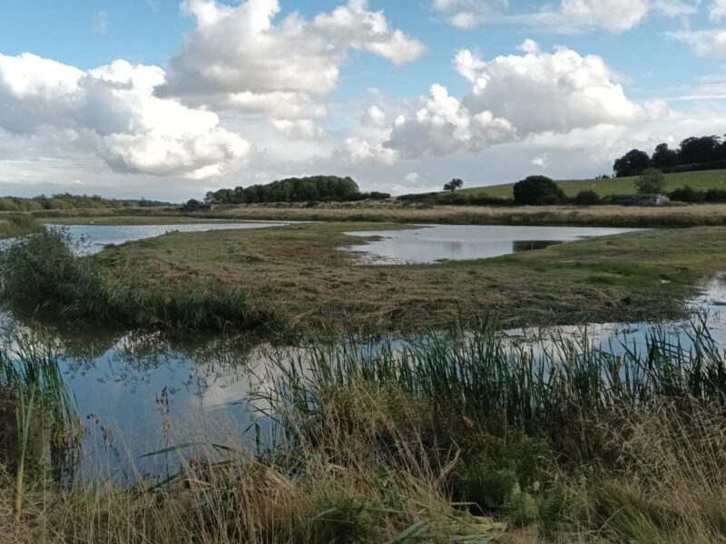 Rutland Water Nature Reserve