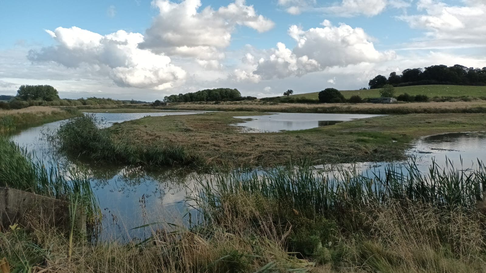 Rutland Water Nature Reserve