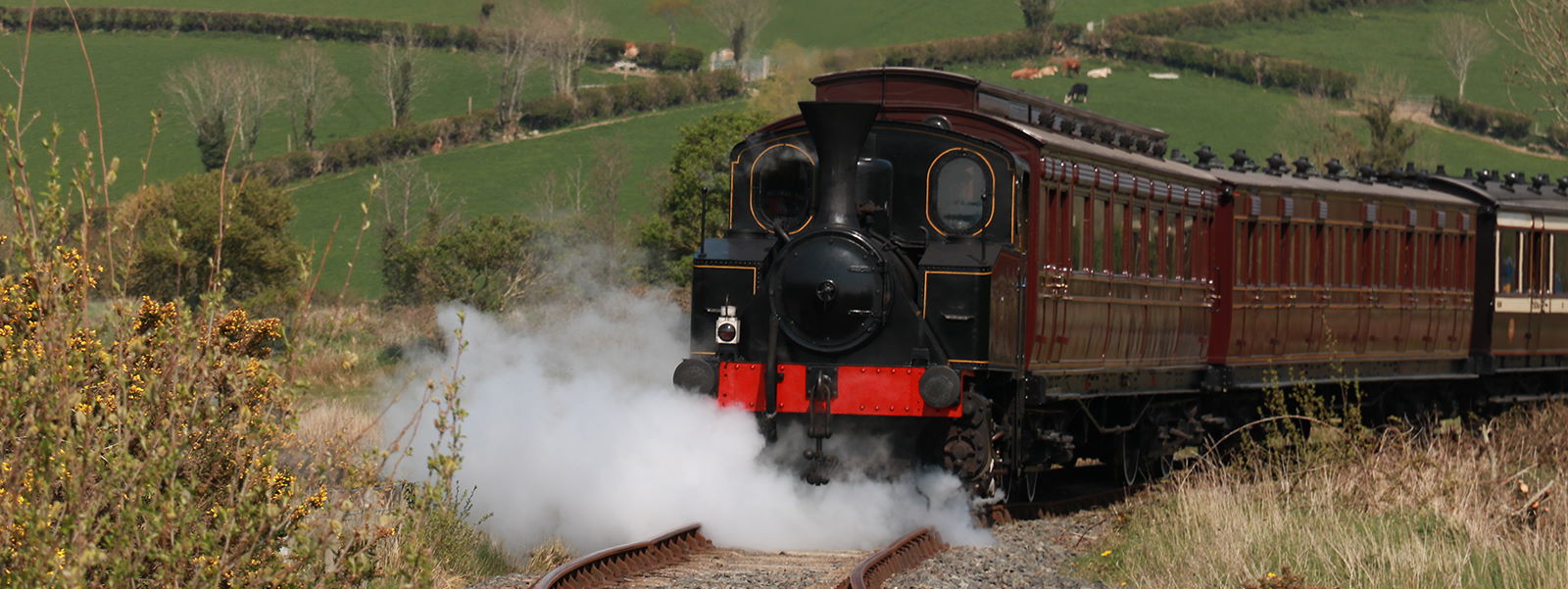 Downpatrick and County Down railway