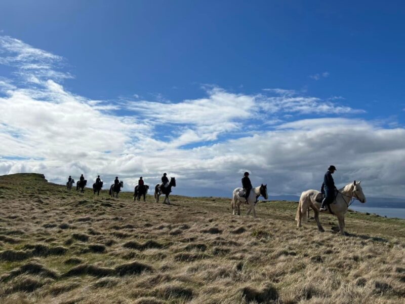 Sheans Horse Farm