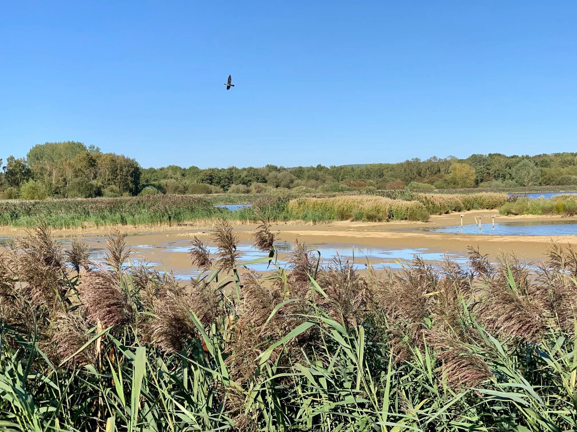 Rutland Water Nature Reserve