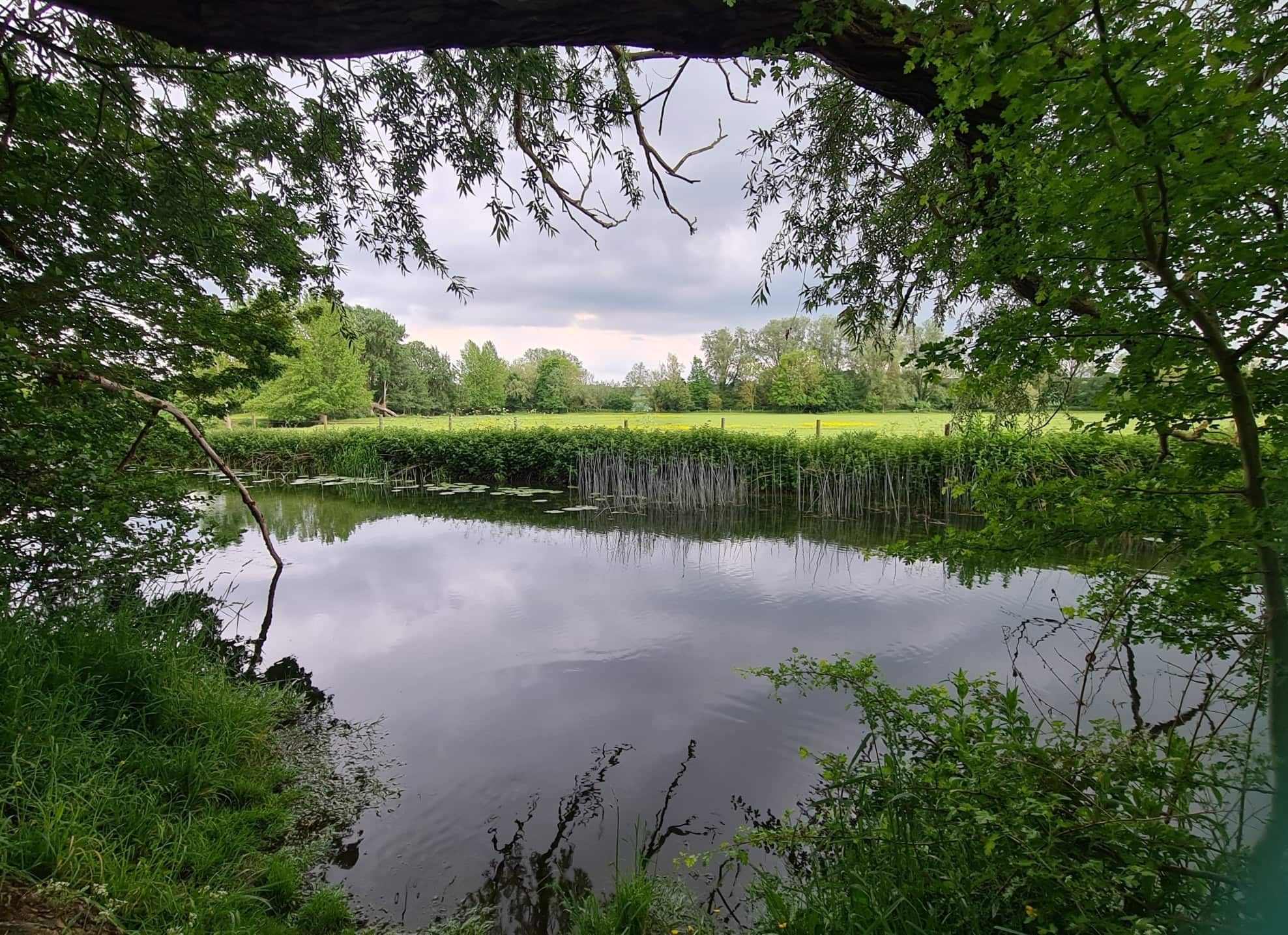 Clare Castle Country Park