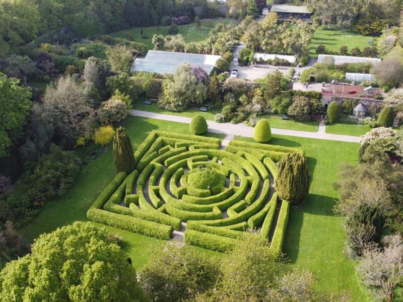 Seaforde Gardens and Tropical Butterfly House