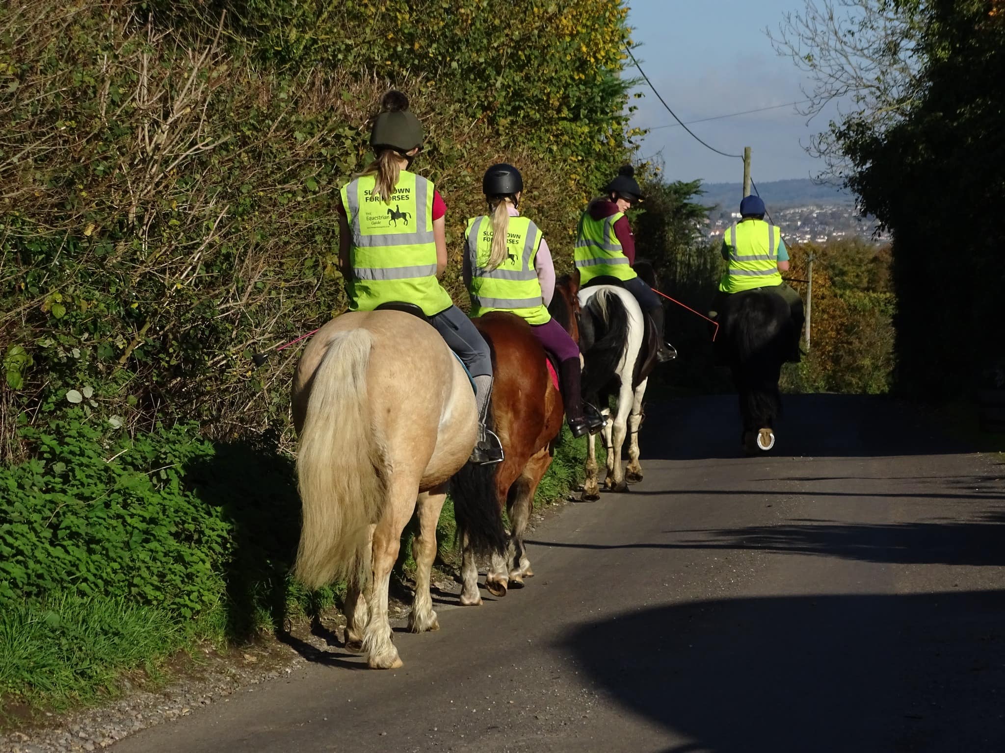 Pevlings Farm Riding and Livery Stables