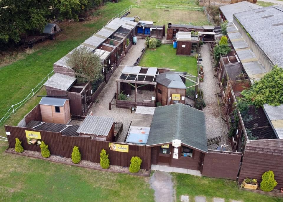 Battlefield Bird of Prey Centre