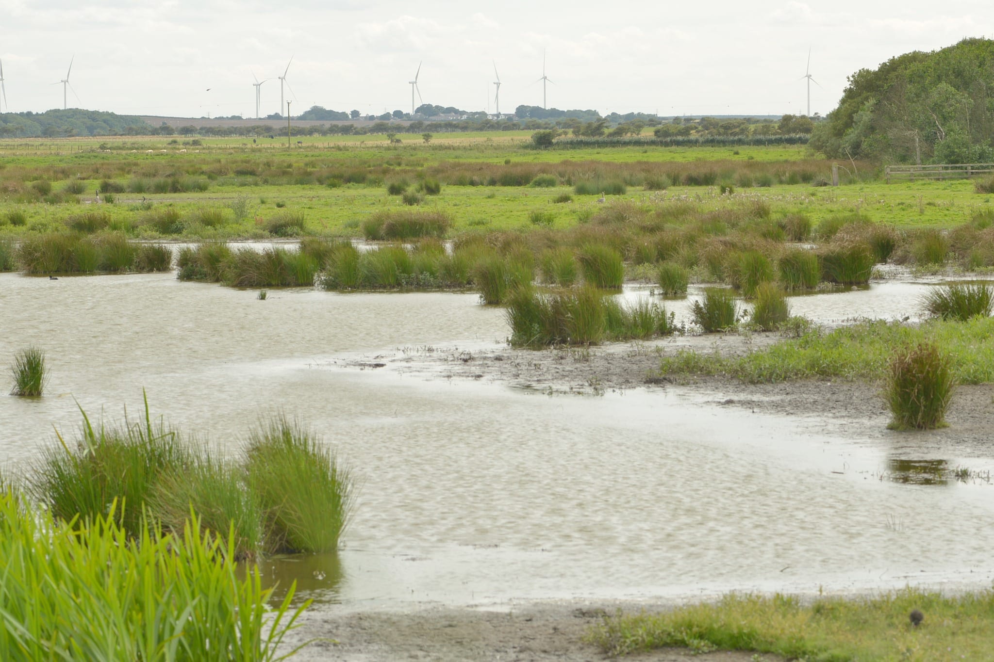 Hauxley Wildlife Discovery Centre