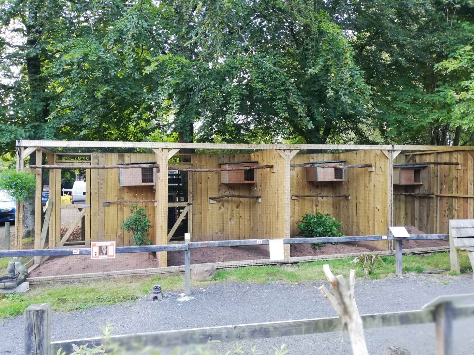 World of Owls
