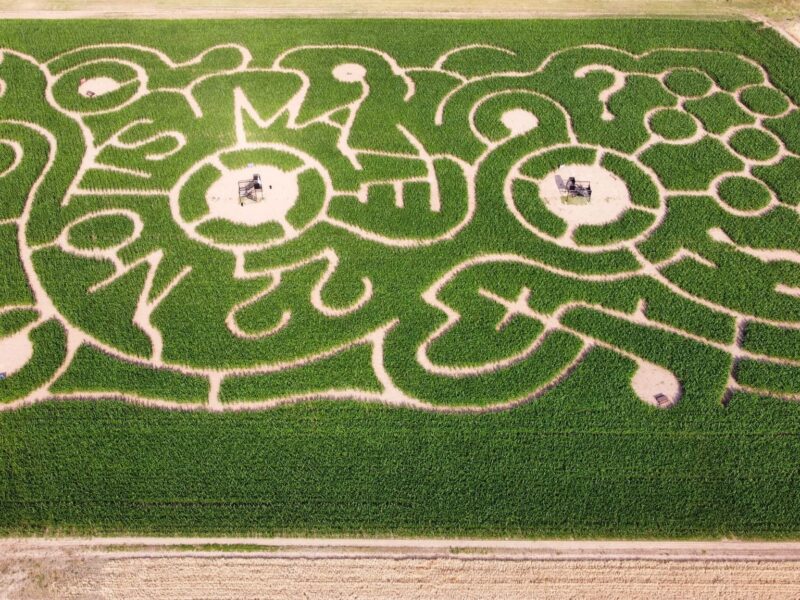 Notts Maze