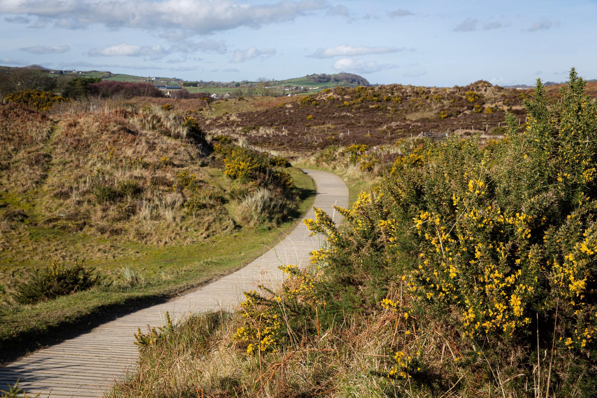 Murlough National Nature Reserve