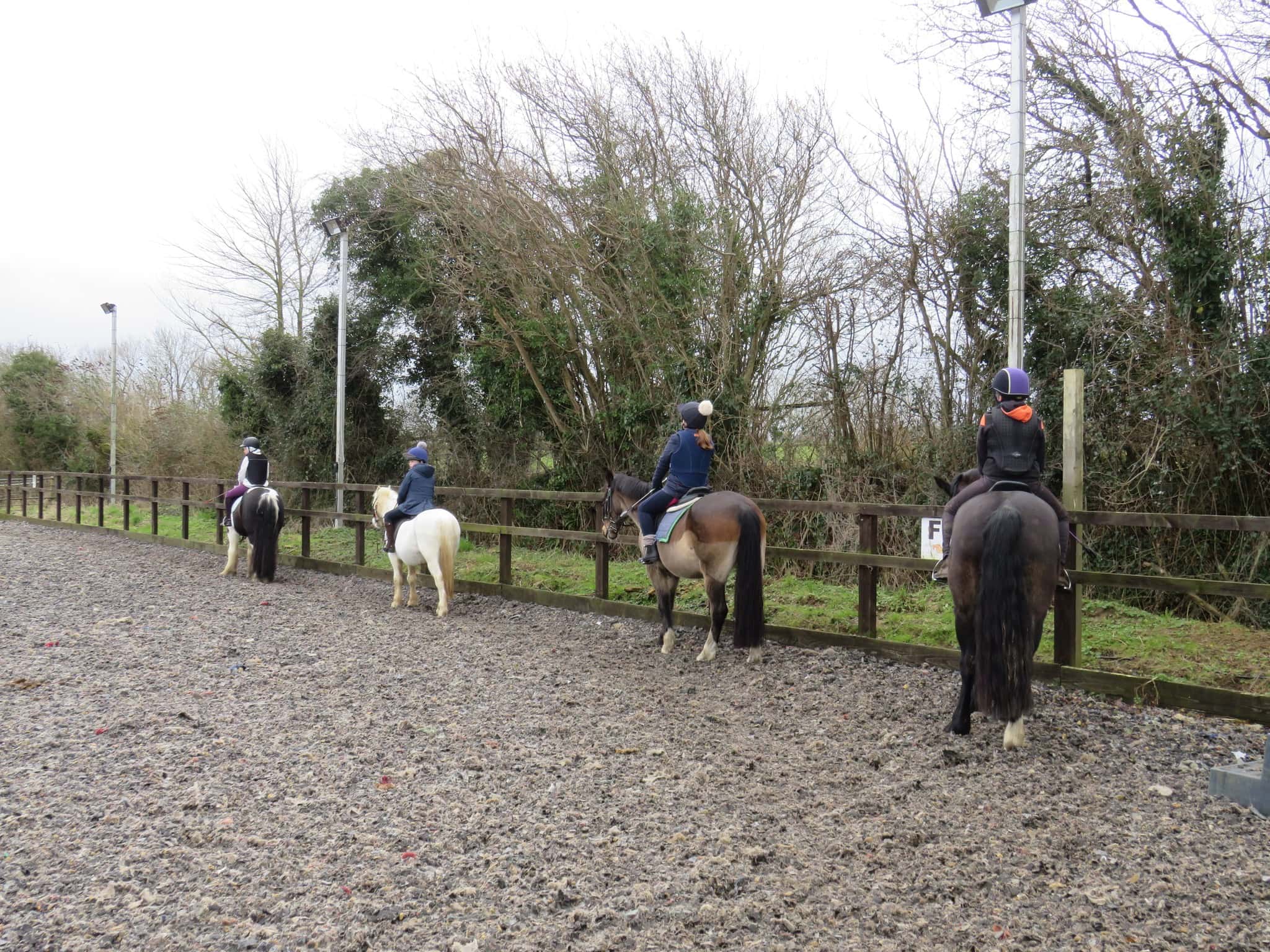 Pevlings Farm Riding and Livery Stables