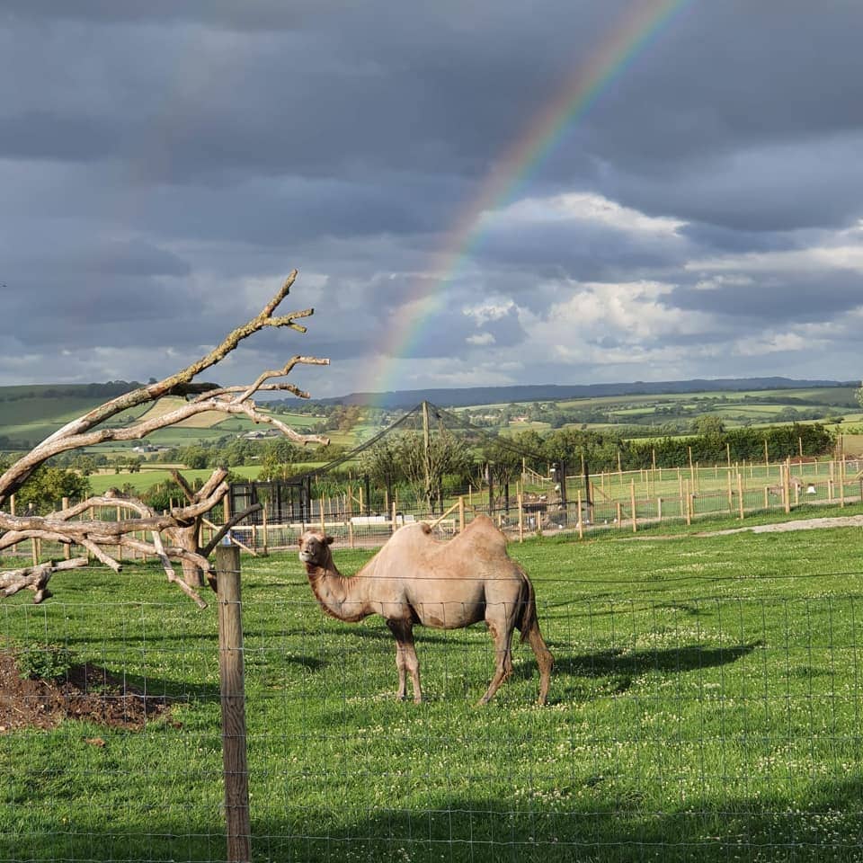 Chew Valley Animal Park