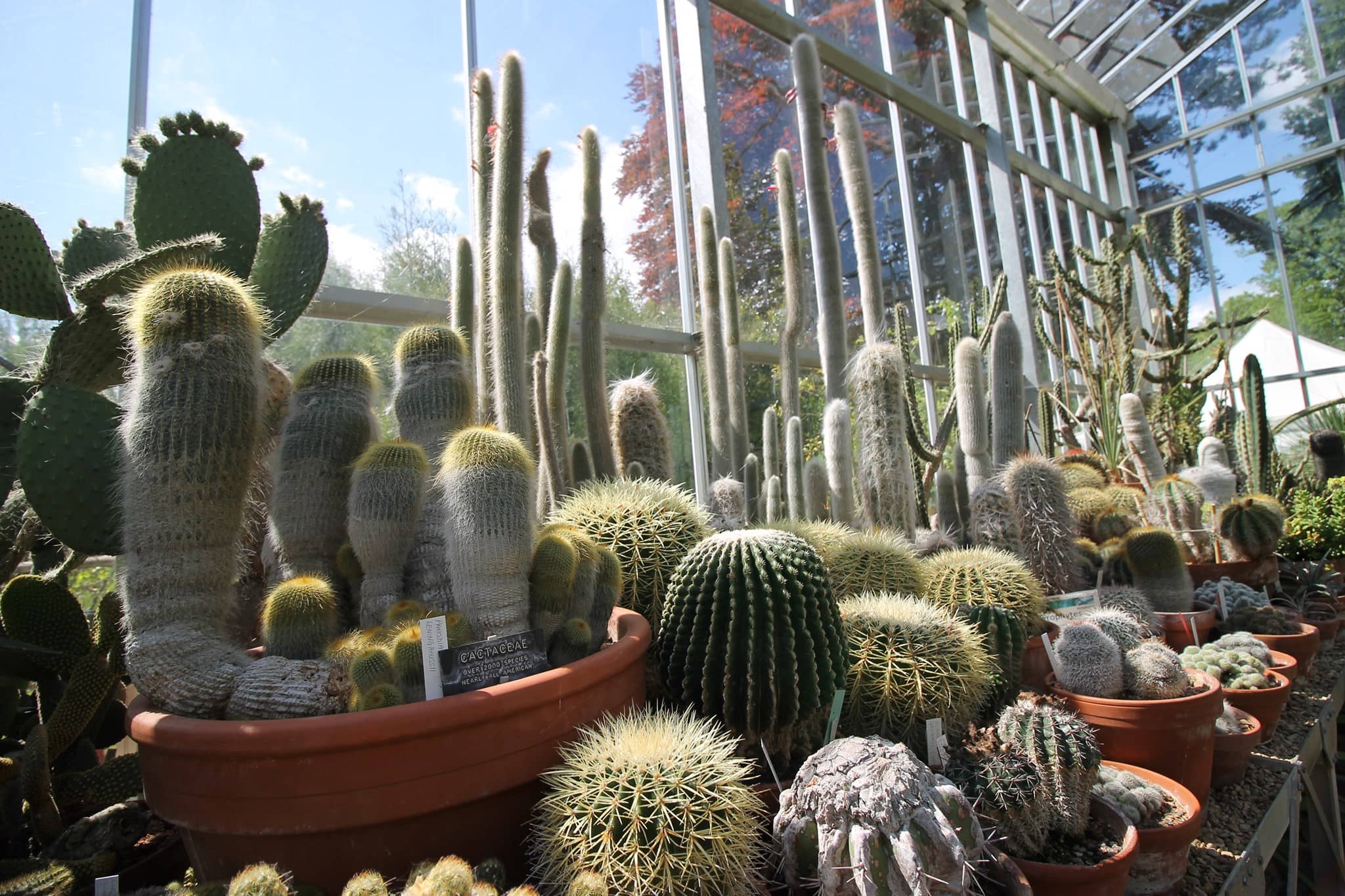 University of Bristol Botanic Garden