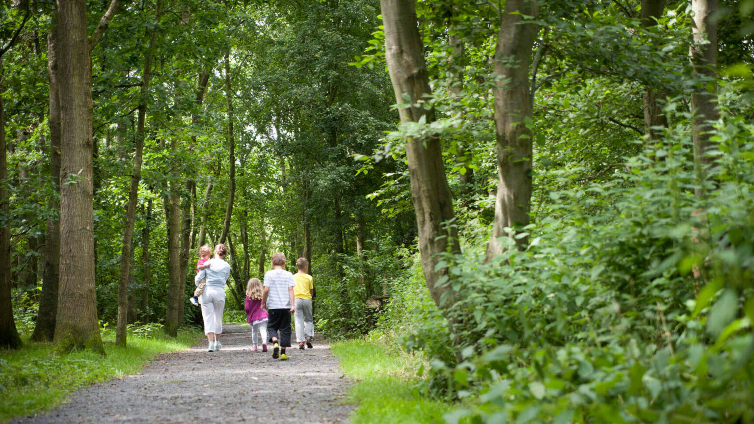 Loughgall Country Park - Where To Go With Kids - County Armagh