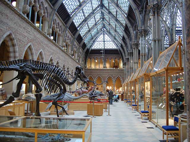 Oxford University Museum of Natural History