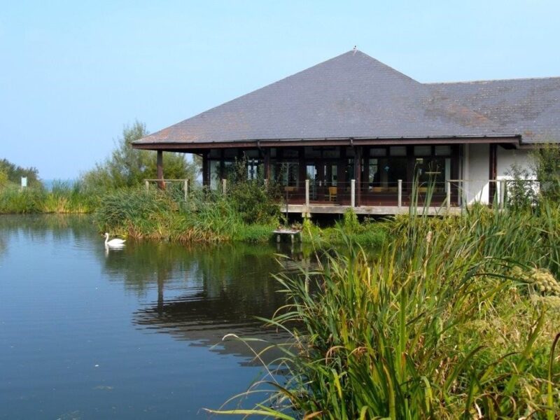 Oxford Island Nature Reserve