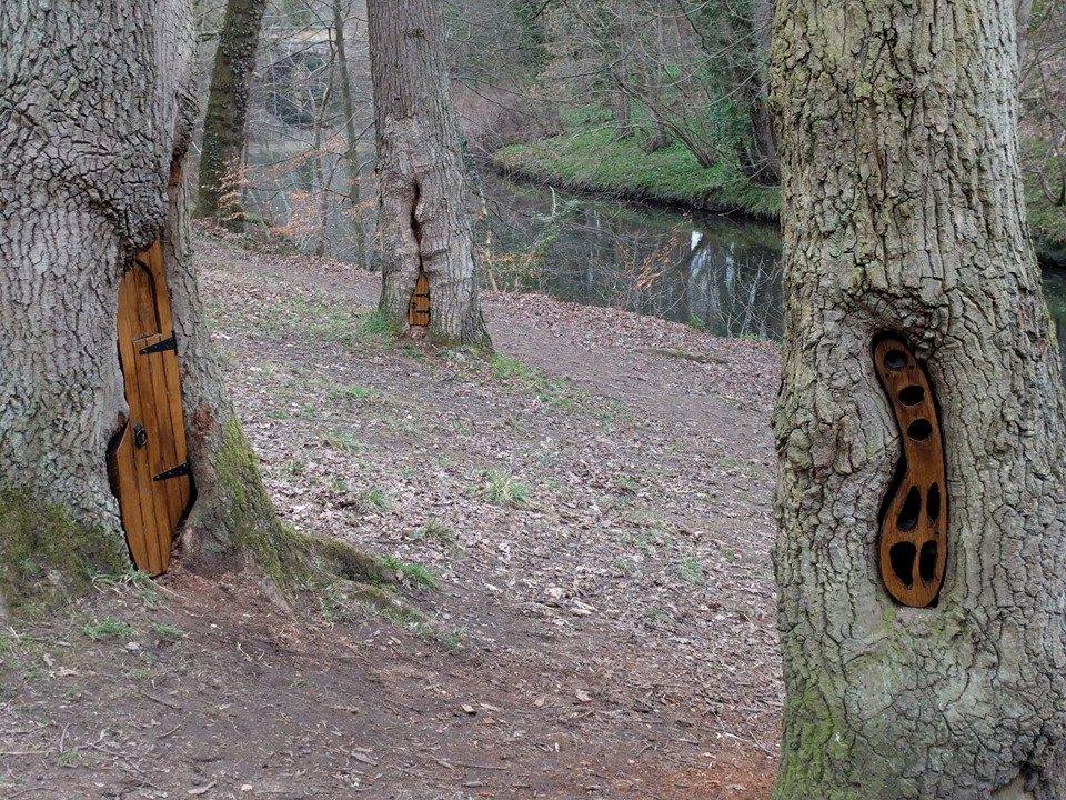 Plessey Woods Country Park