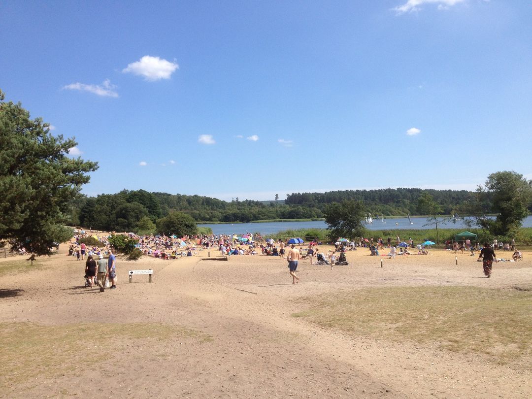 Frensham Great Pond