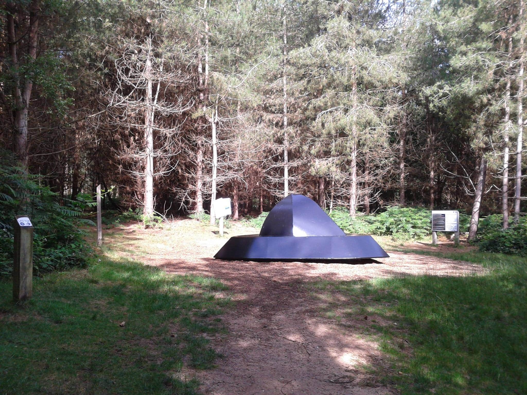 Rendlesham Forest