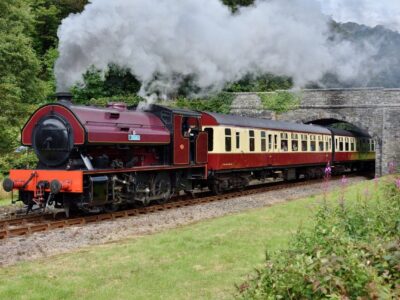 Stephenson Steam Railway