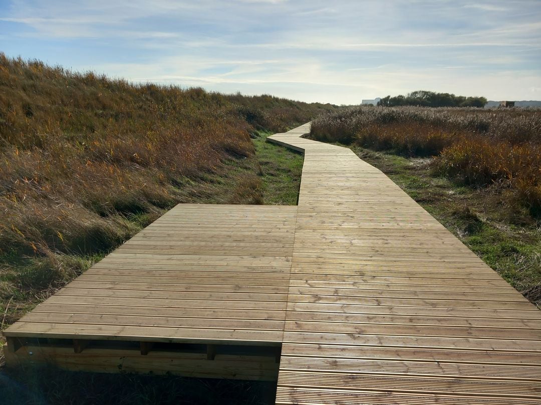 RSPB Minsmere