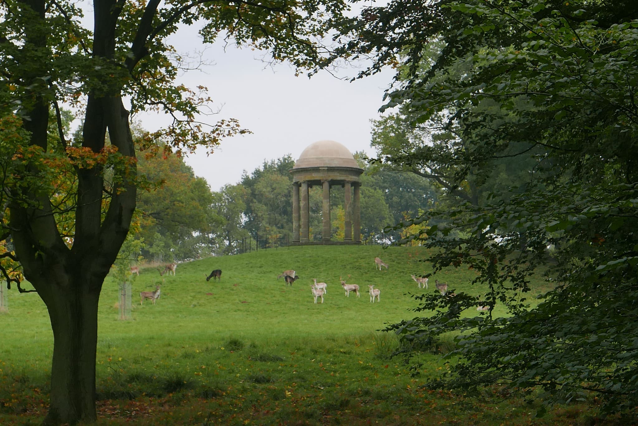 Hagley Park and Visitor Centre Where To Go With Kids