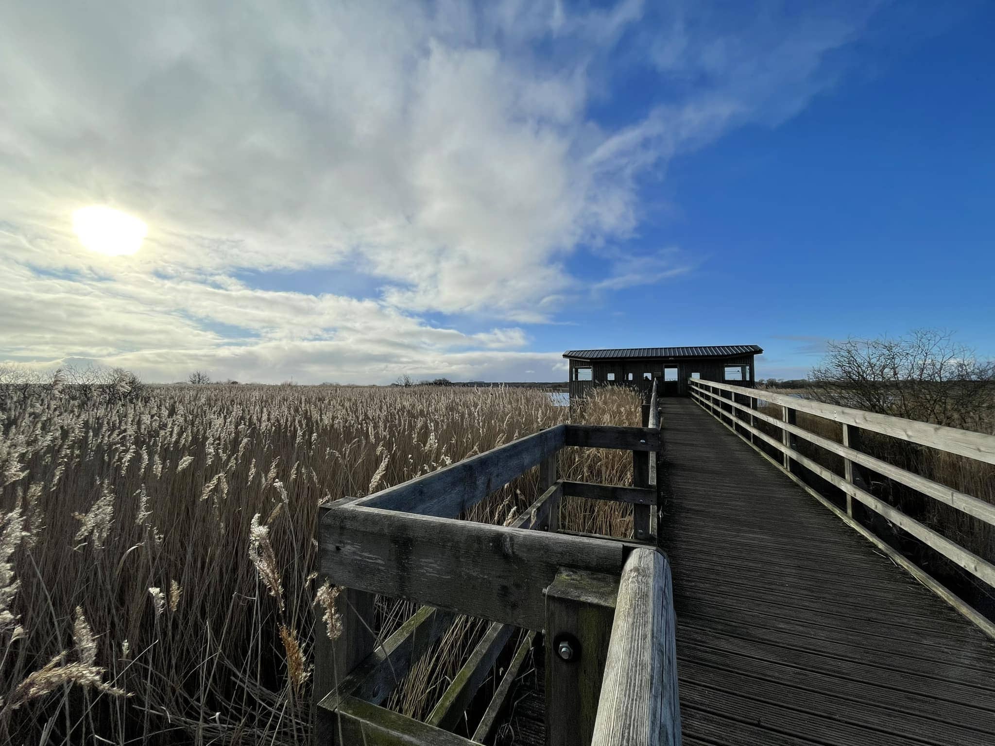 RSPB Minsmere