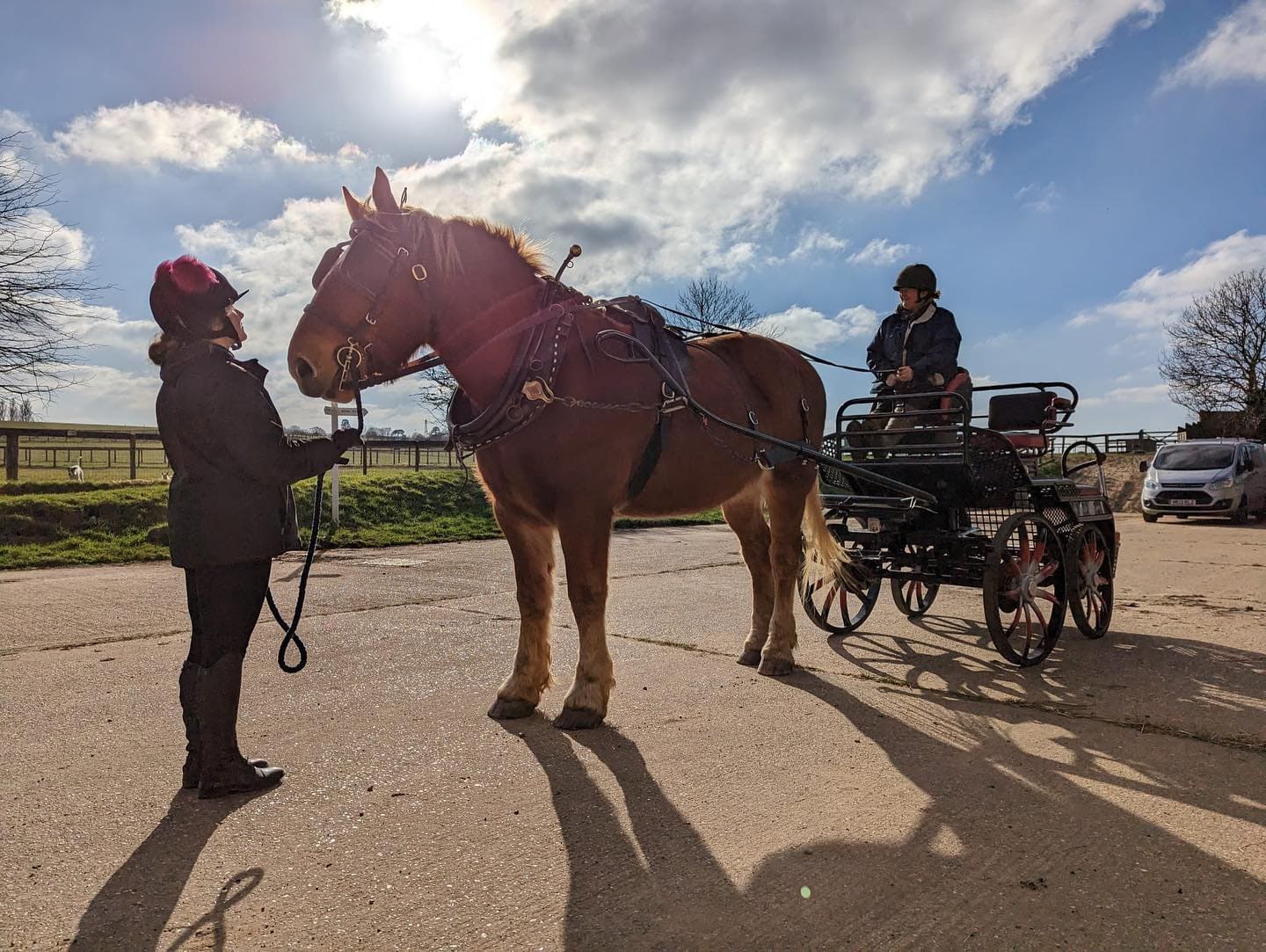 The Suffolk Punch Trust