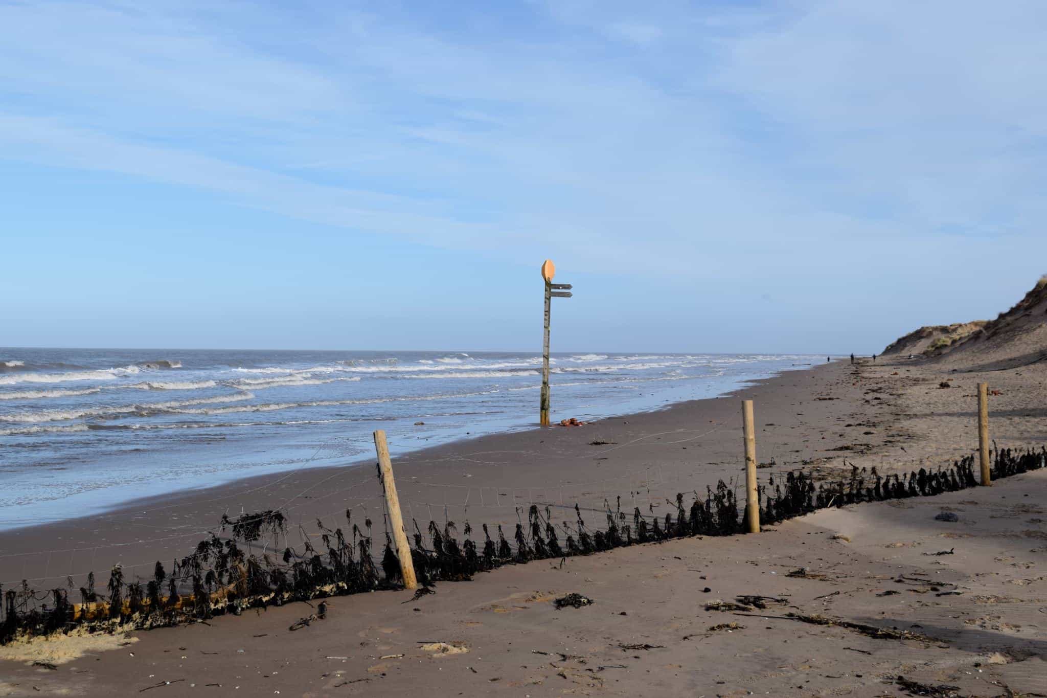 can you take dogs on formby beach