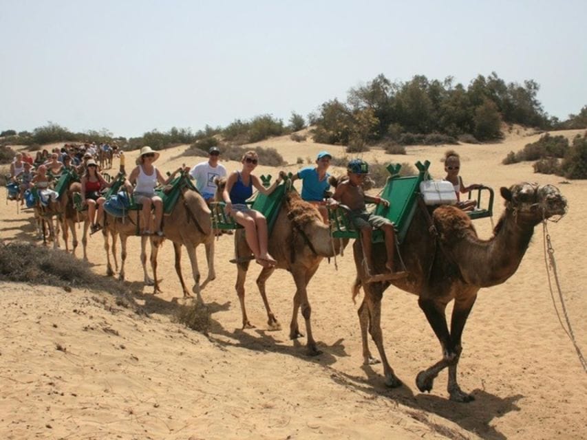Camel Ride Maspalomoas Gran Canaria
