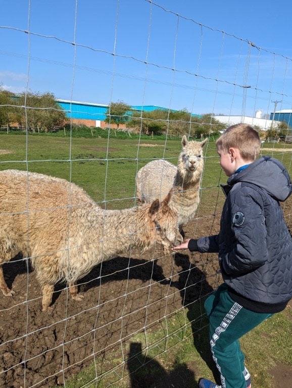 50+ Best Days Out in Yorkshire With Animals | Farms & Zoos