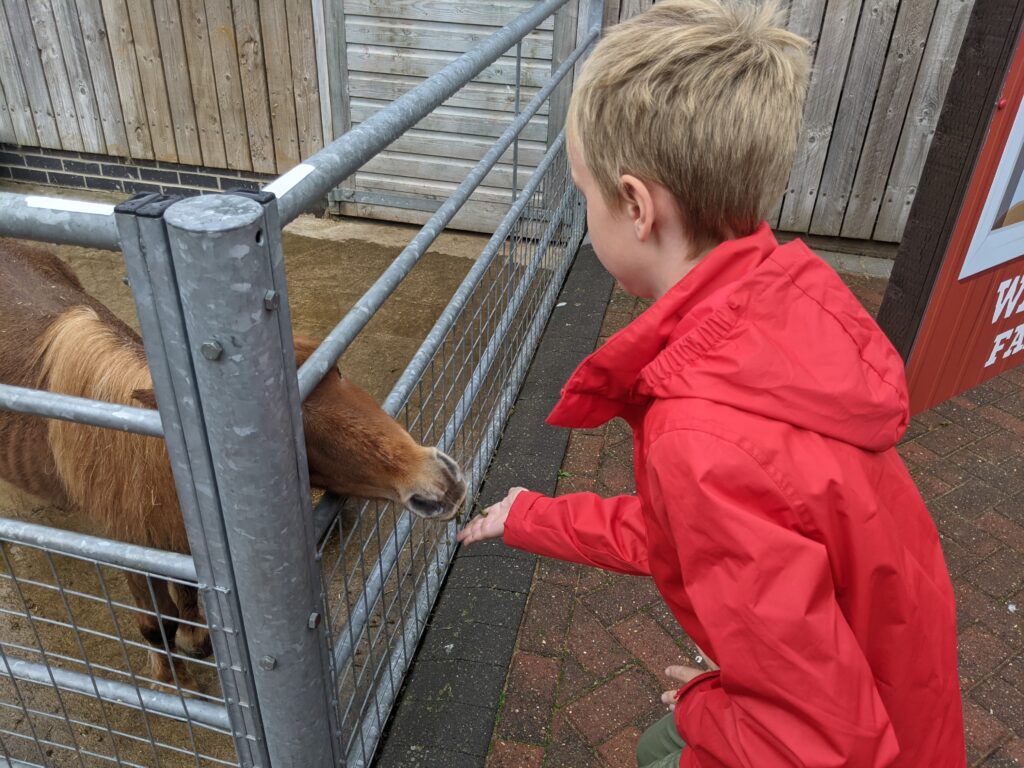 50+ Best Days Out in Yorkshire With Animals | Farms & Zoos