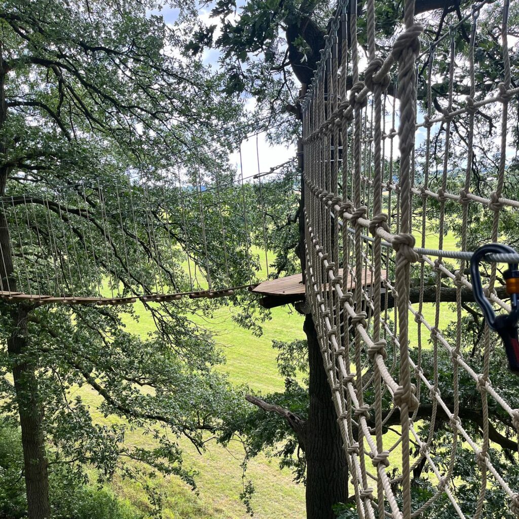 Go Ape Chelmsford Hylands Park