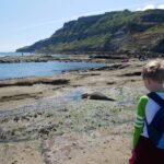 The Seals at Ravenscar