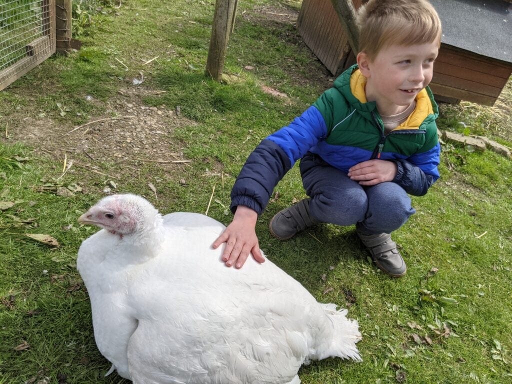 Aston Springs Farm