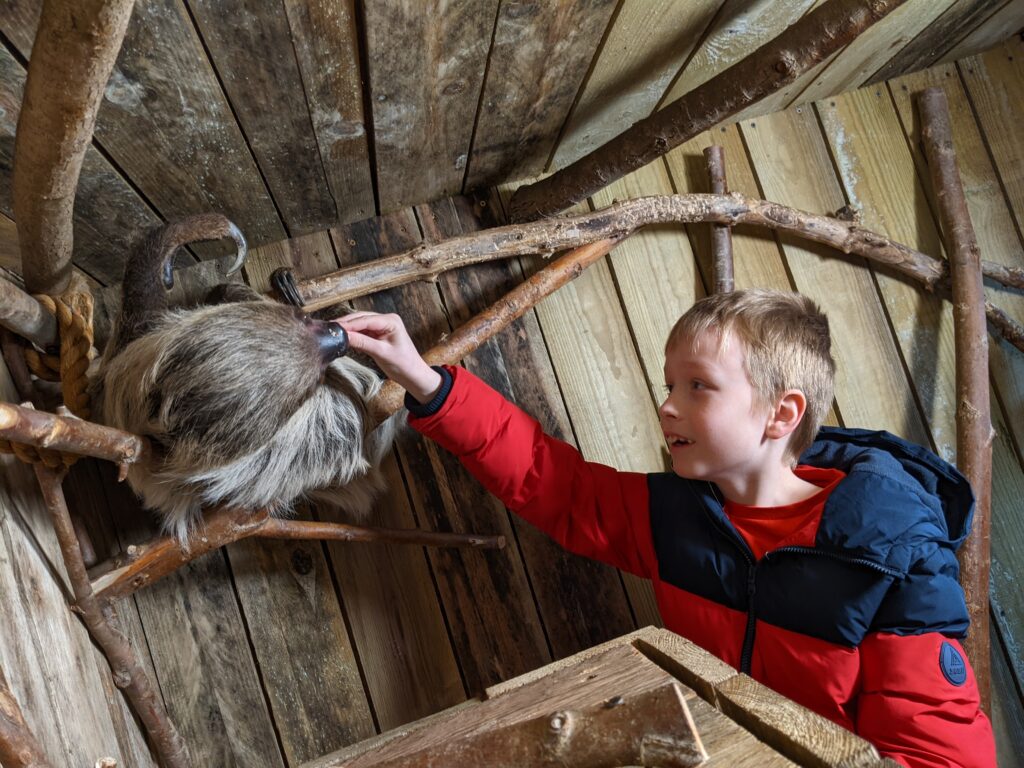 Sloth Animal Experience Woodside Wildlife Park North Lincolnshire Review