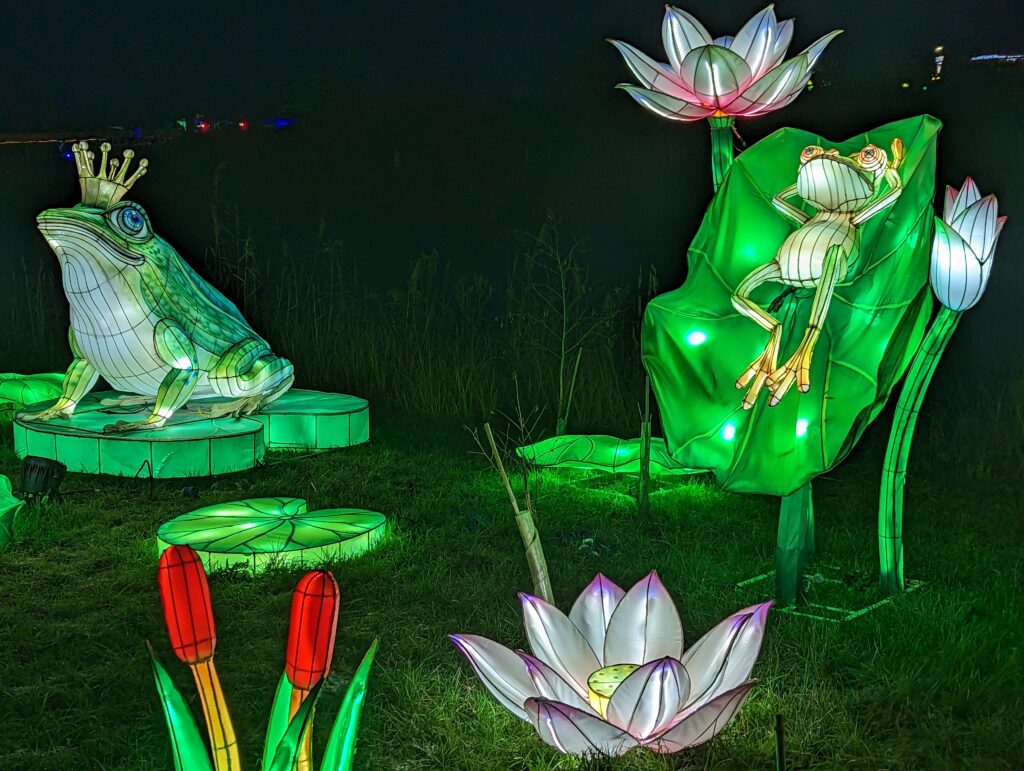 Yorkshire Wildlife Park Winter Illuminations Review