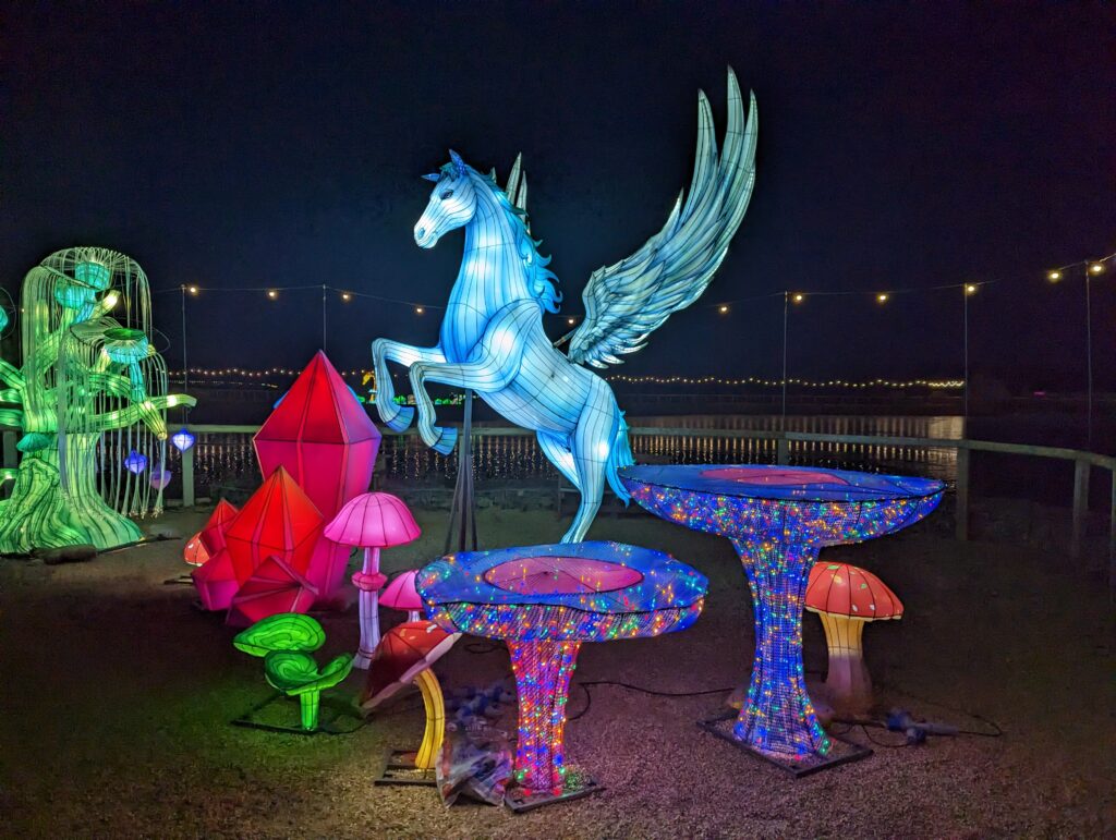 Yorkshire Wildlife Park Winter Illuminations Review