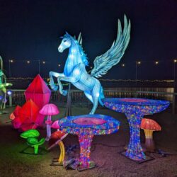 Yorkshire Wildlife Park Winter Illuminations Review