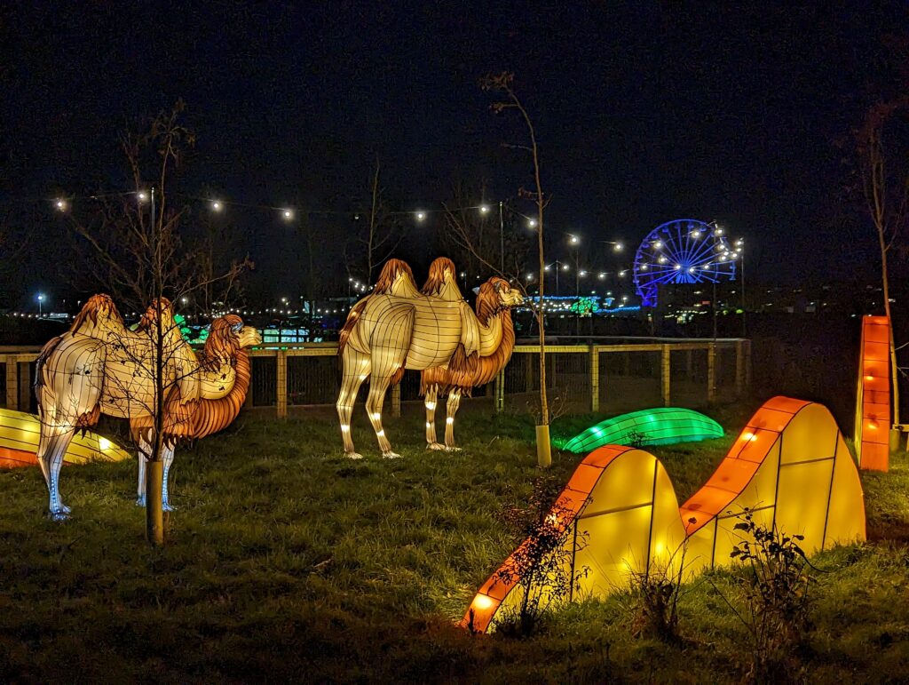 Yorkshire Wildlife Park Winter Illuminations Review