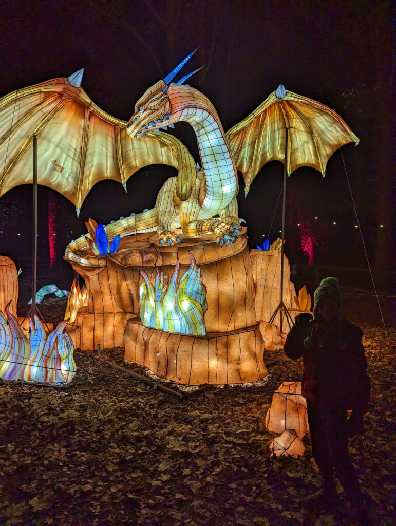 Yorkshire Wildlife Park Winter Illuminations Review