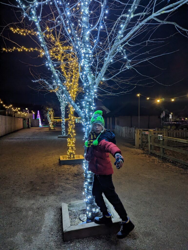 Yorkshire Wildlife Park Winter Illuminations Review