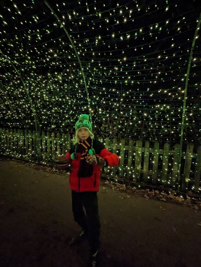 Yorkshire Wildlife Park Winter Illuminations Review