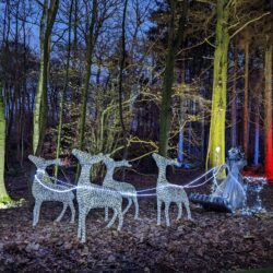 Stockeld Park Winter Illuminations and Nordic Skiing Review