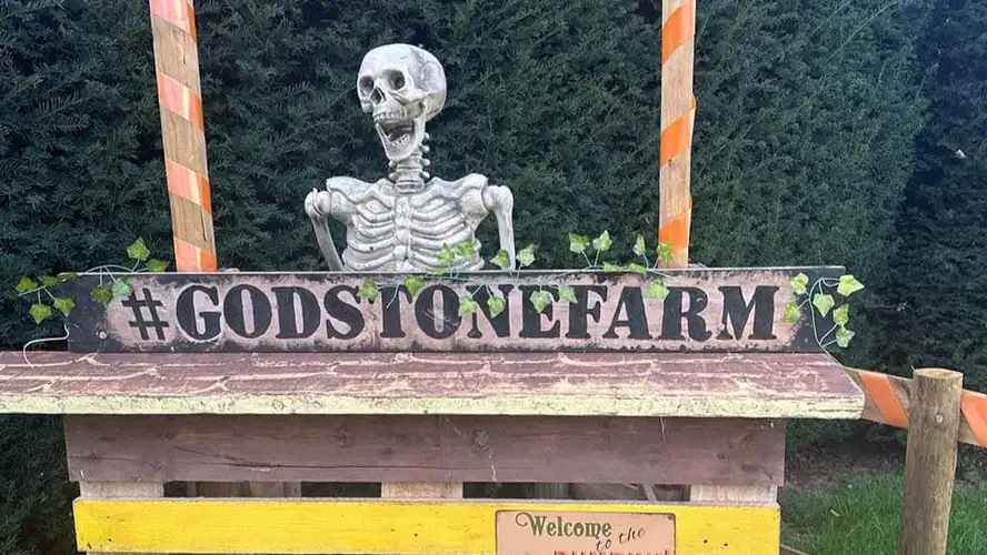 Godstone Farm